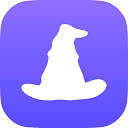 Merlin logo