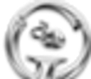Usitplus logo
