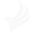 United States Law Enforcement Foundation logo