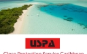 Uspa International logo