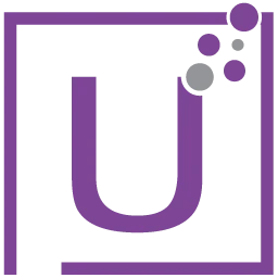 US SOFTWARE PROFESSIONALS INC logo