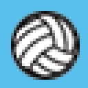 Virginia Elite Volleyball Club logo