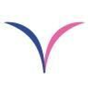 Vagisil logo