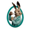vaillant.ba icon