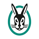 vaillant.de icon