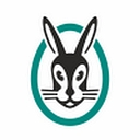 vaillant.ua icon