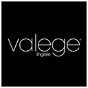 VALEGE FR logo