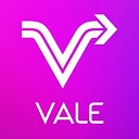 Vale Concepts logo