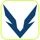Valiant Enterprises LLC logo