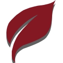 Valid Nutrition logo