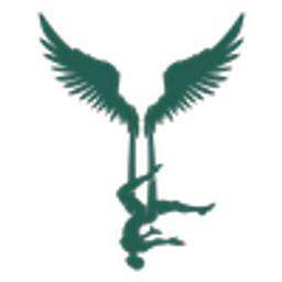 Valkyrie Fitness Studio logo