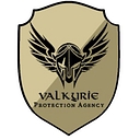 Valkyrie Protection Agency LLC