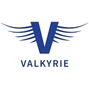 Valkyrie Support Services logo