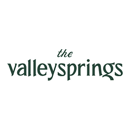 MHVS HOLDINGS, INC. logo