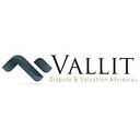 Vallit Advisors, Llc. logo