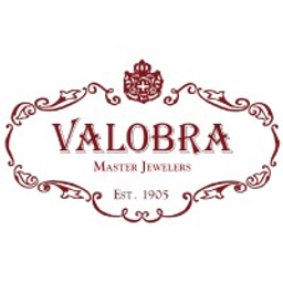 VALOBRA OF TEXAS LLC logo