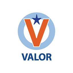 Valor Flagship Academy logo