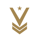 VALOR MISSION PROJECT logo