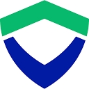 Valor Paytech logo