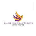 Valour Healthcare Services logo