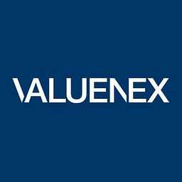 VALUENEX, Inc. logo