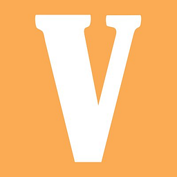 Value Store It Management Inc. logo