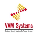 VAMSystems logo