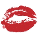 Vanessa Media logo