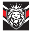 Vanguard Ministries Inc logo