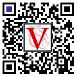 VM