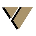 Vanguard Professional Staffing logo