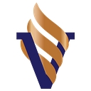 Vanguard Solutions Pty Ltd logo