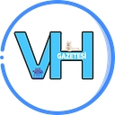 vanhabergazetesi.com icon