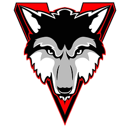 Vanoss Es logo