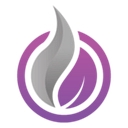 Favicon of VapeFully
