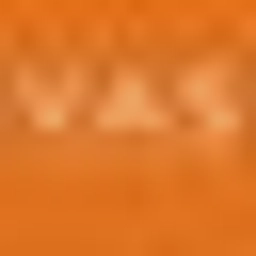 VAS GLOBAL LIMITED logo