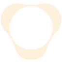 Vastian logo