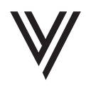 Vasyn logo