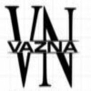 Vazna Construction logo