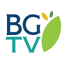 Village Of Buffalo Grove logo