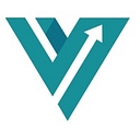 Vector Advisory Services