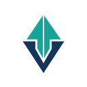 Vector Photonics