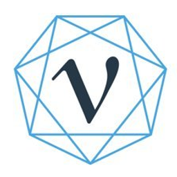 Vega Economic & Financial Consulting, Inc. logo