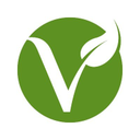 vegava.com logo