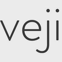 Veji Holdings Ltd. logo
