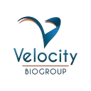 Velocity Biogroup, Llc logo