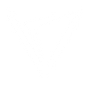 Velozity logo
