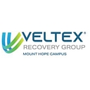 Veltex Corporation (Vlxc) logo