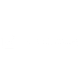 Venegroup Services INC logo