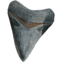 Favicon of Venice Area Chamber of Commerce